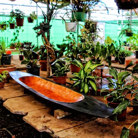 Semesterbostad Berolo 1