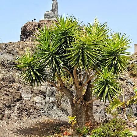 Semesterbostad Berolo 1 *