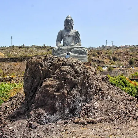 Berolo 1 Guía de Isora